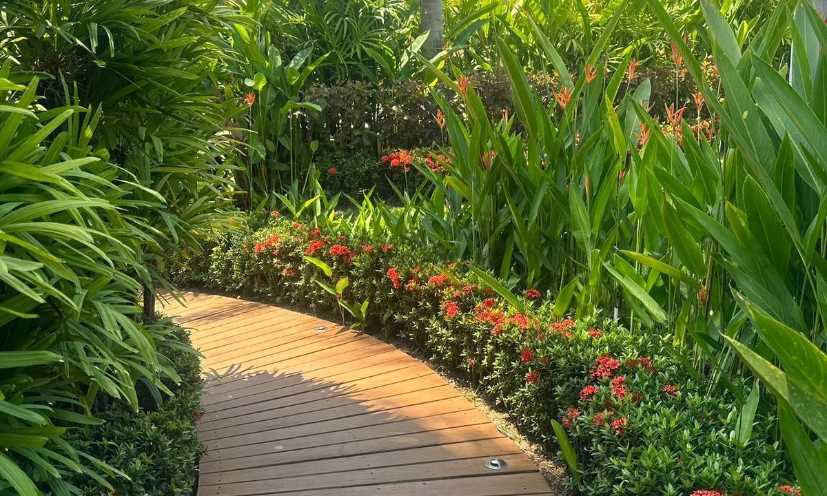 Photo of Outdoor in La Puntilla