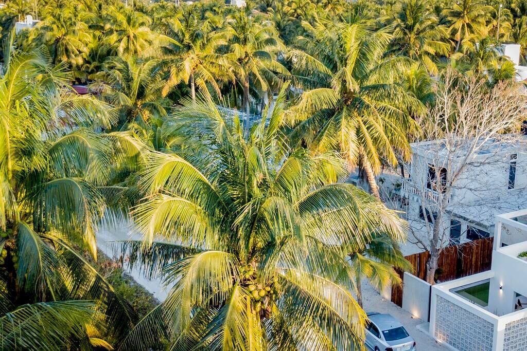 Photo of Outdoor in Telchac Puerto
