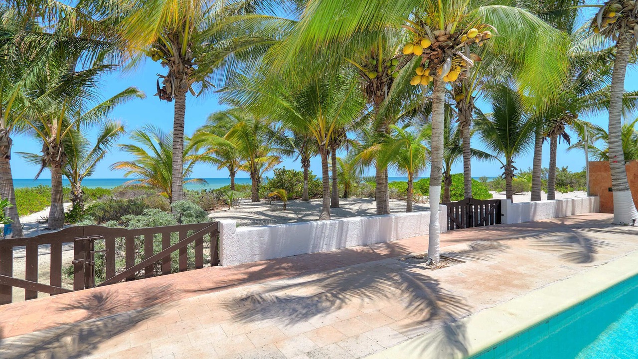 Photo of Outdoor in Chicxulub Puerto
