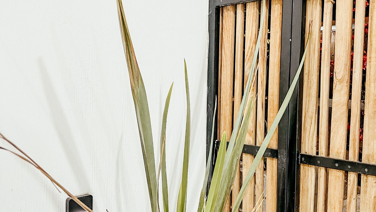 Photo of Outdoor in Bajio