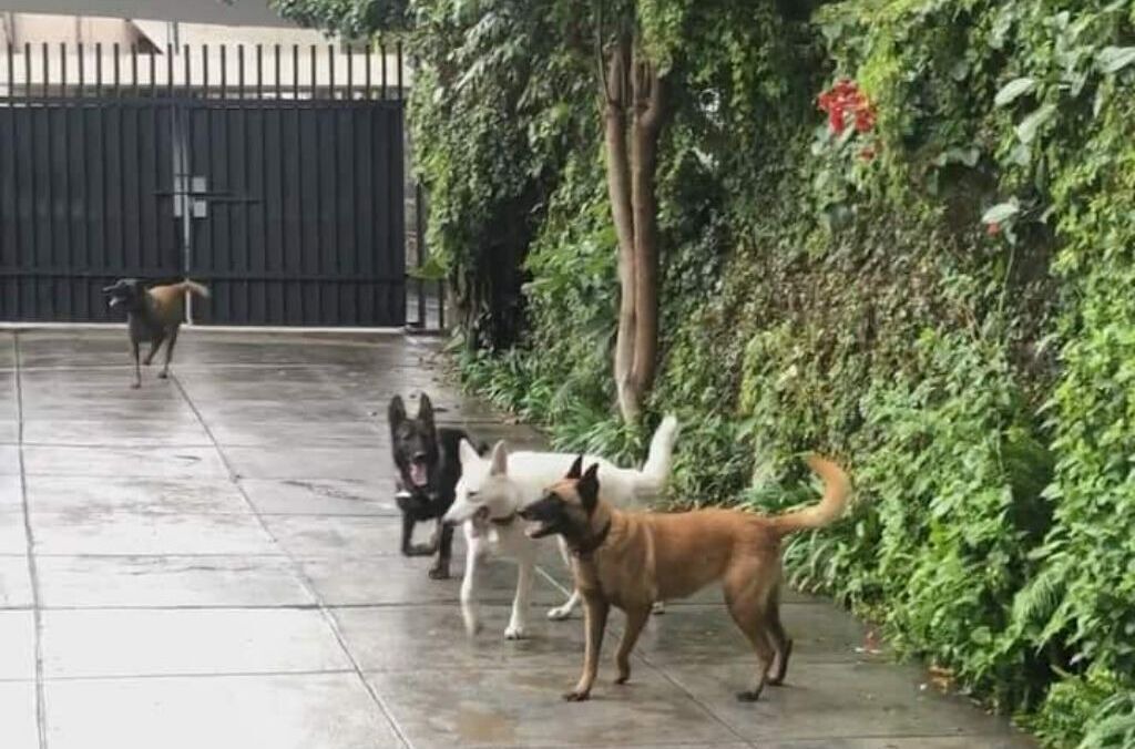 Photo of Outdoor in Cuernavaca