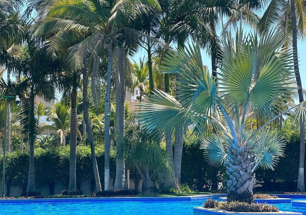 Photo of Outdoor in Marina Vallarta