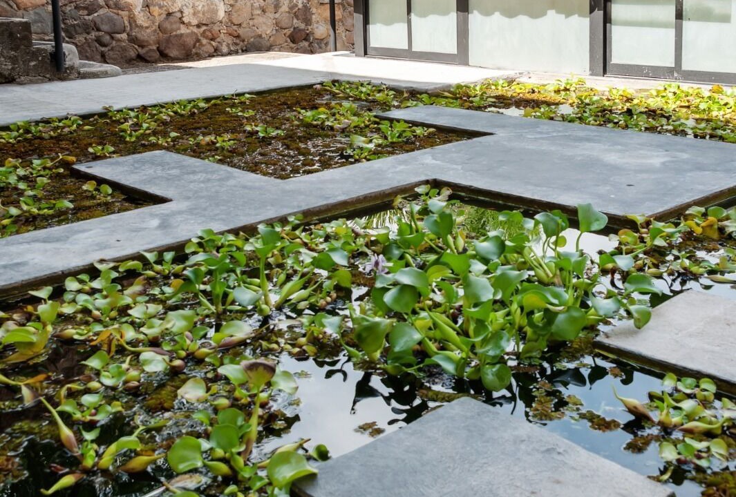 Photo of Outdoor in Tequesquitengo