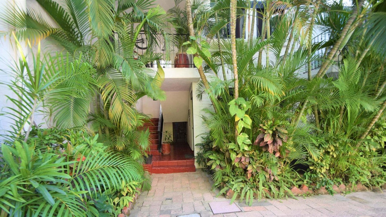 Photo of Outdoor in North Hotel Zone