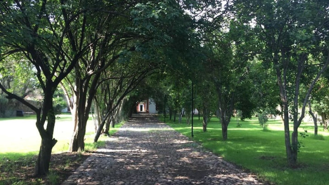 Photo of Outdoor in Texcoco