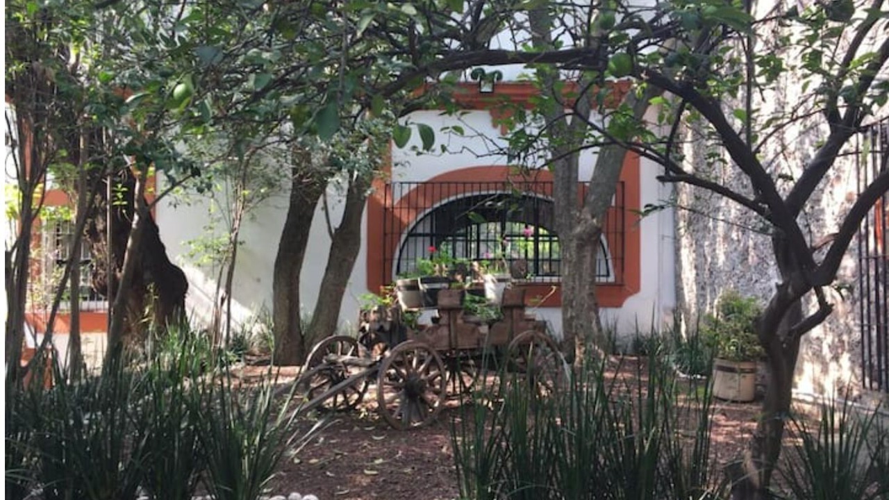 Photo of Outdoor in Texcoco
