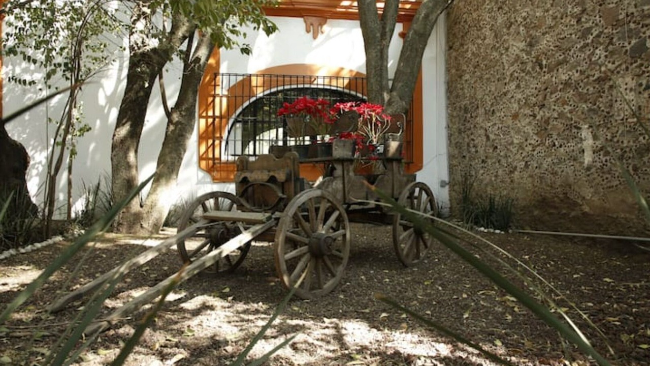 Photo of Outdoor in Texcoco