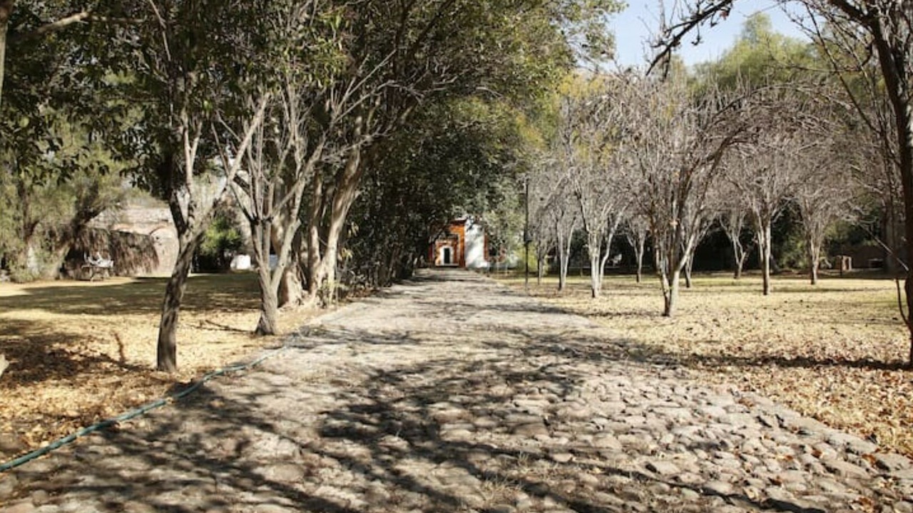 Photo of Outdoor in Texcoco