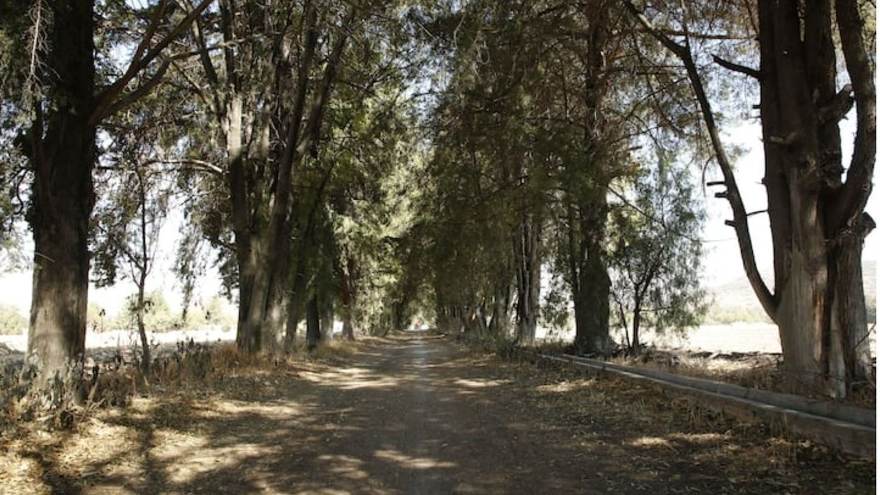 Photo of Outdoor in Texcoco