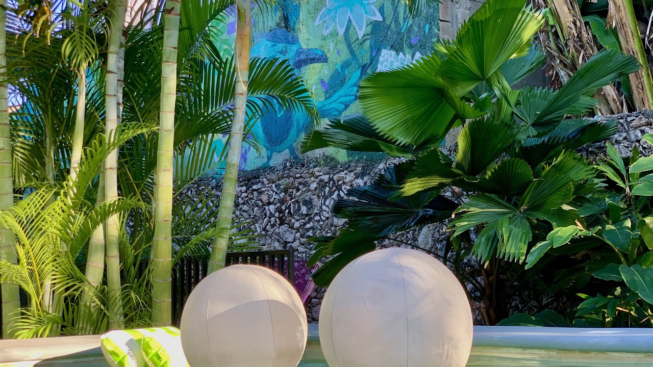 Photo of Outdoor in Centro