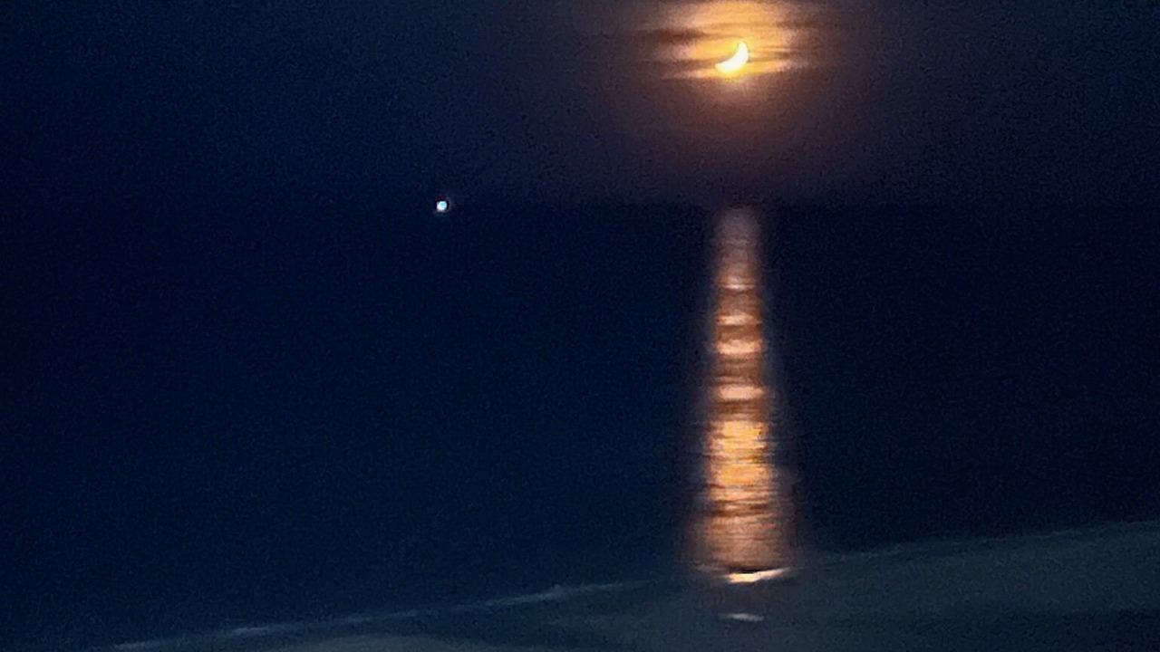 Photo of Others in Puerto Penasco