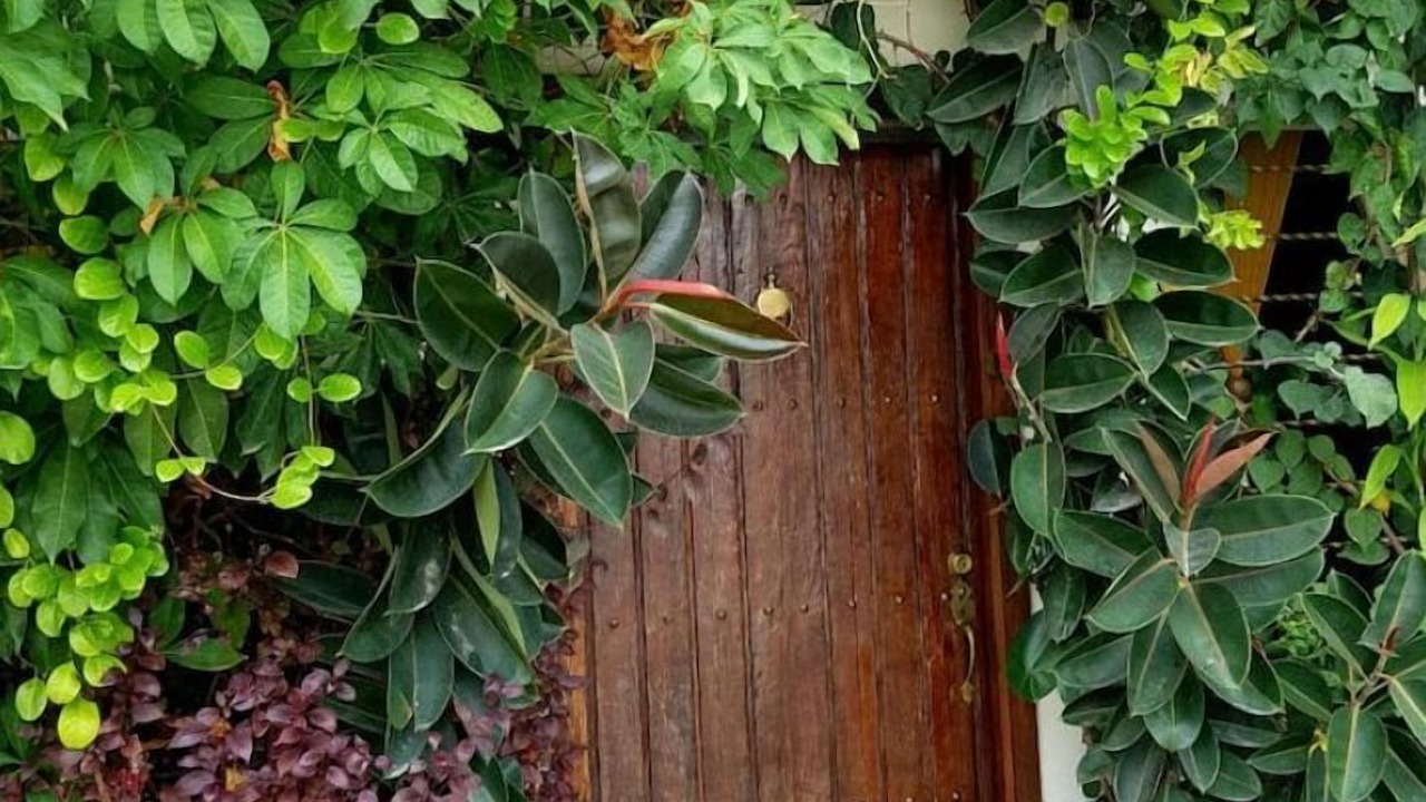 Photo of Outdoor in Parque Las Palmas