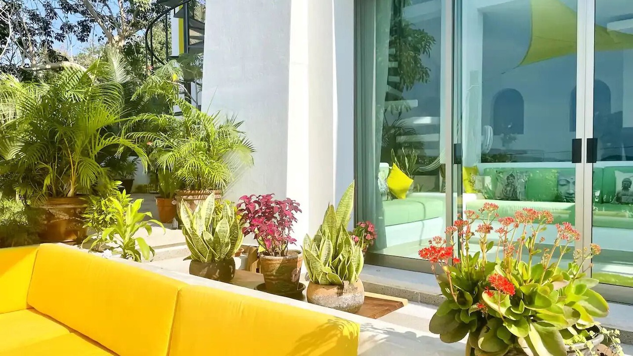 Photo of Outdoor in La Manzanilla