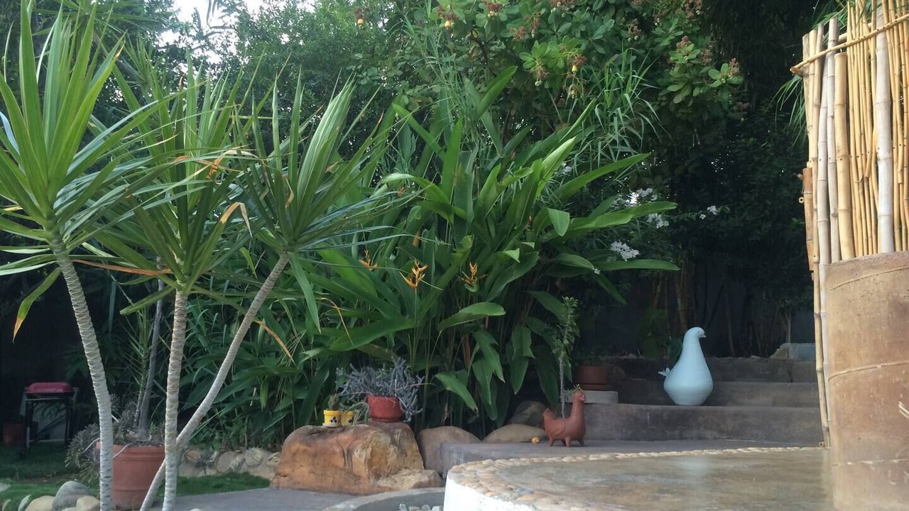 Photo of Outdoor in Barra de Colotepec