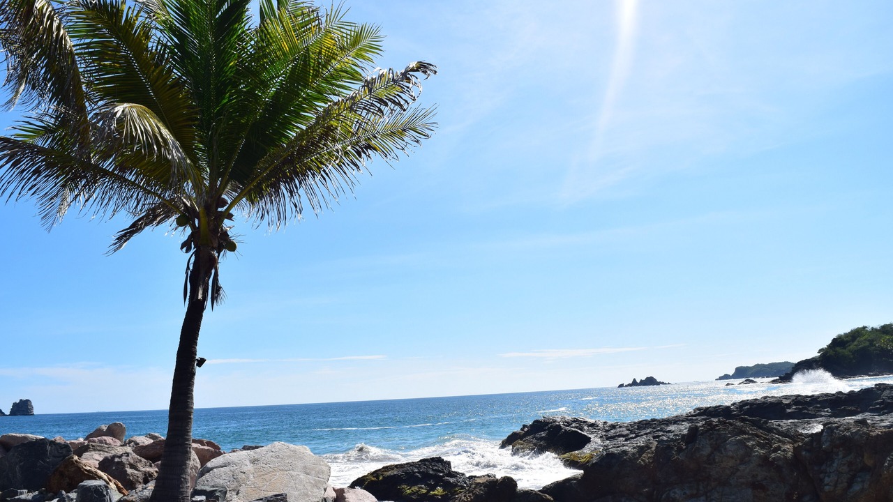 Photo of Others in Ixtapa