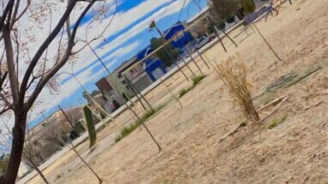 Photo of Others in Juarez Municipality