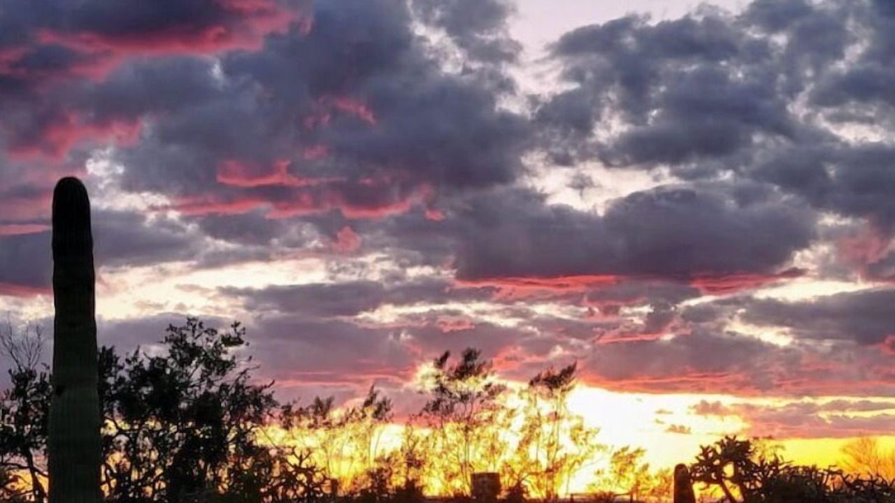 Photo of Outdoor in Tucson