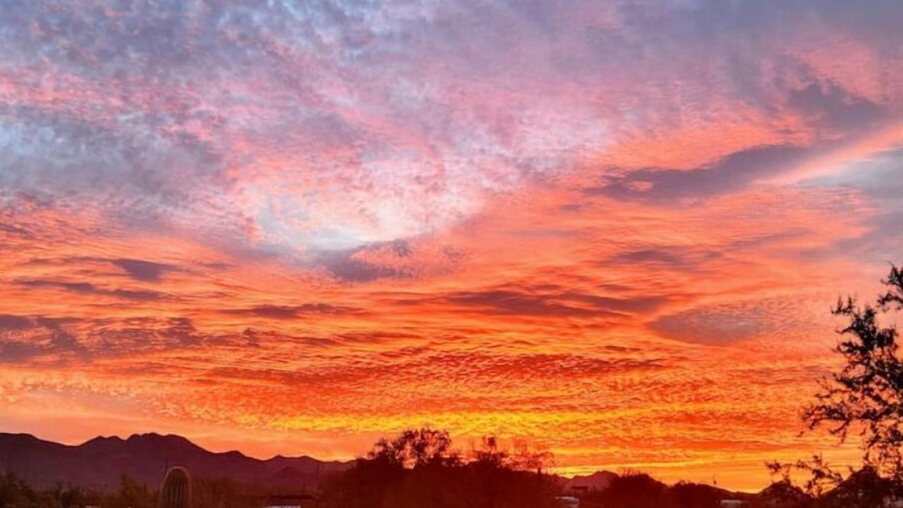 Photo of Outdoor in Tucson