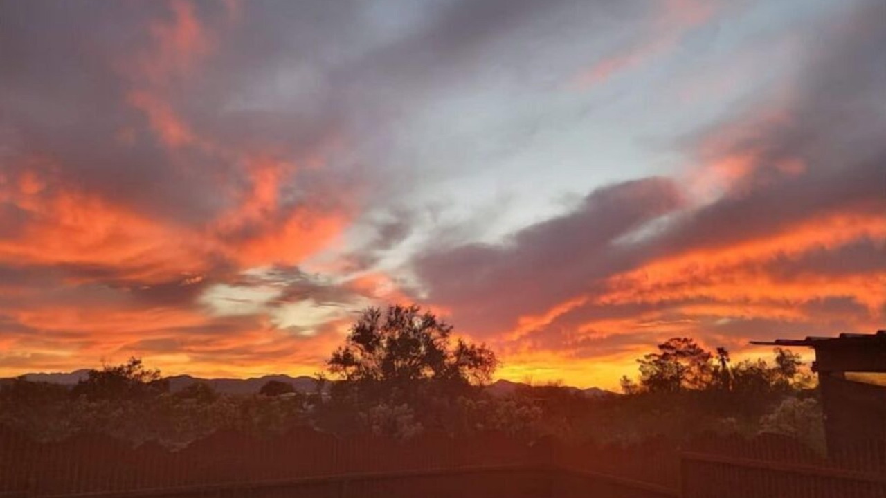 Photo of Others in Tucson