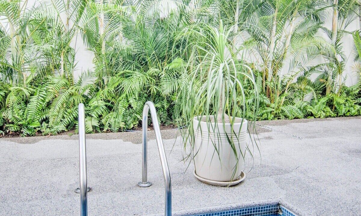 Photo of Outdoor in Bucerias