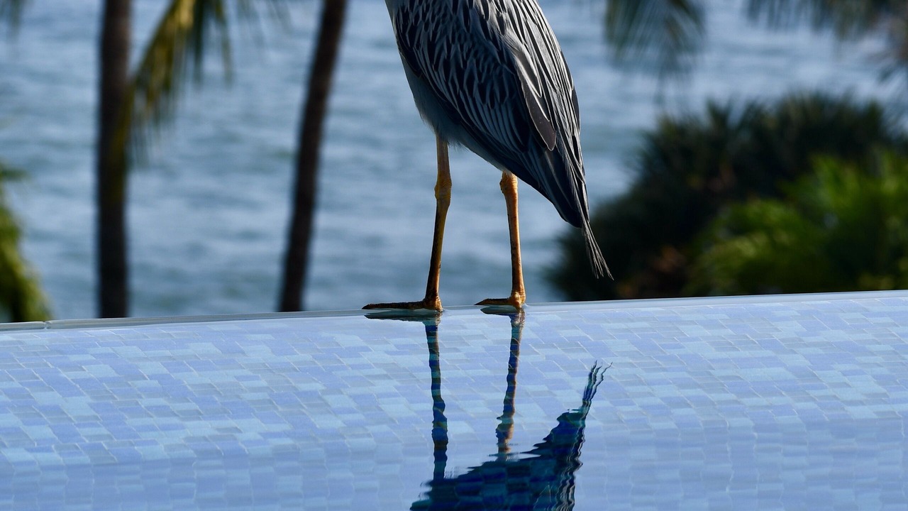 Photo of Outdoor in Punta de Mita