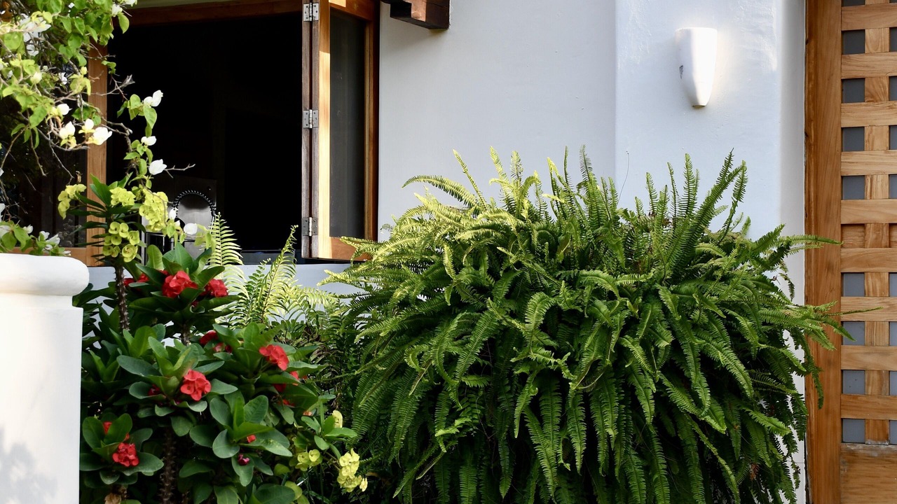 Photo of Outdoor in Punta de Mita