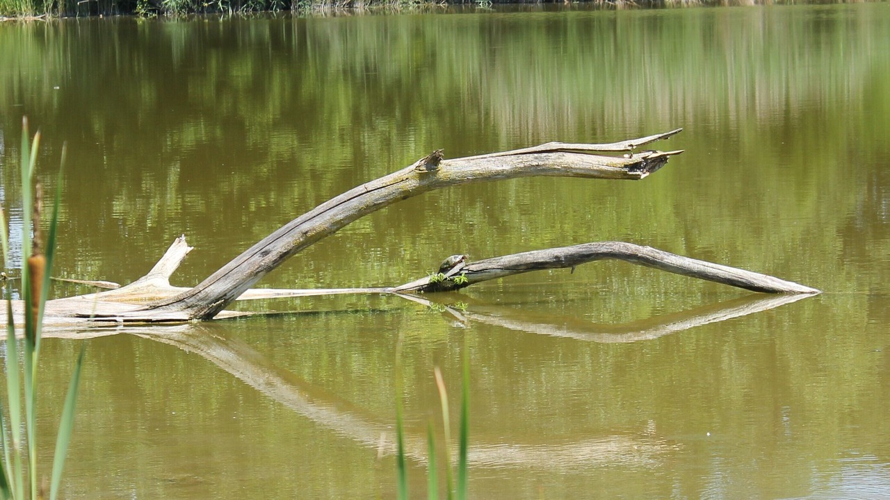 Photo of Others in Laketon