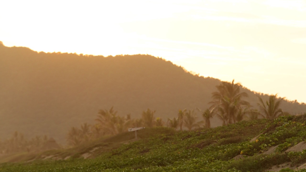 Photo of Others in Cihuatlan