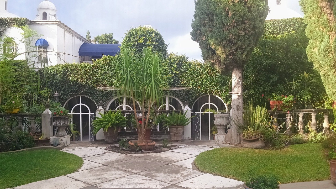 Photo of Outdoor in Ajijic
