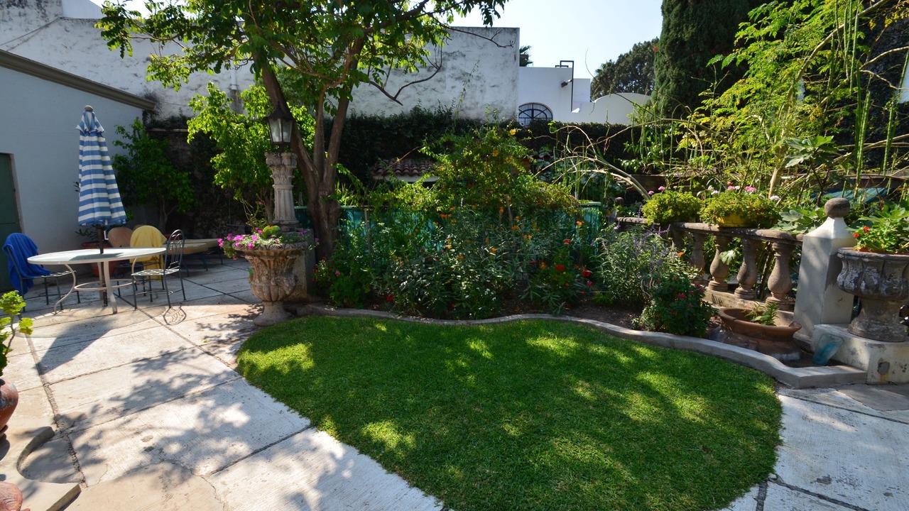 Photo of Outdoor in Ajijic