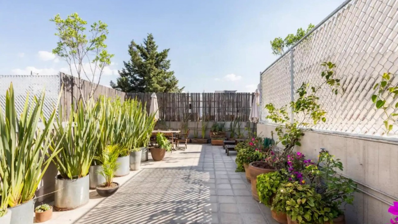 Photo of Outdoor in La Condesa