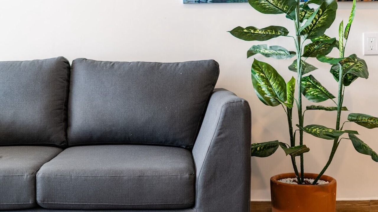 Photo of Livingroom in Zona Rosa