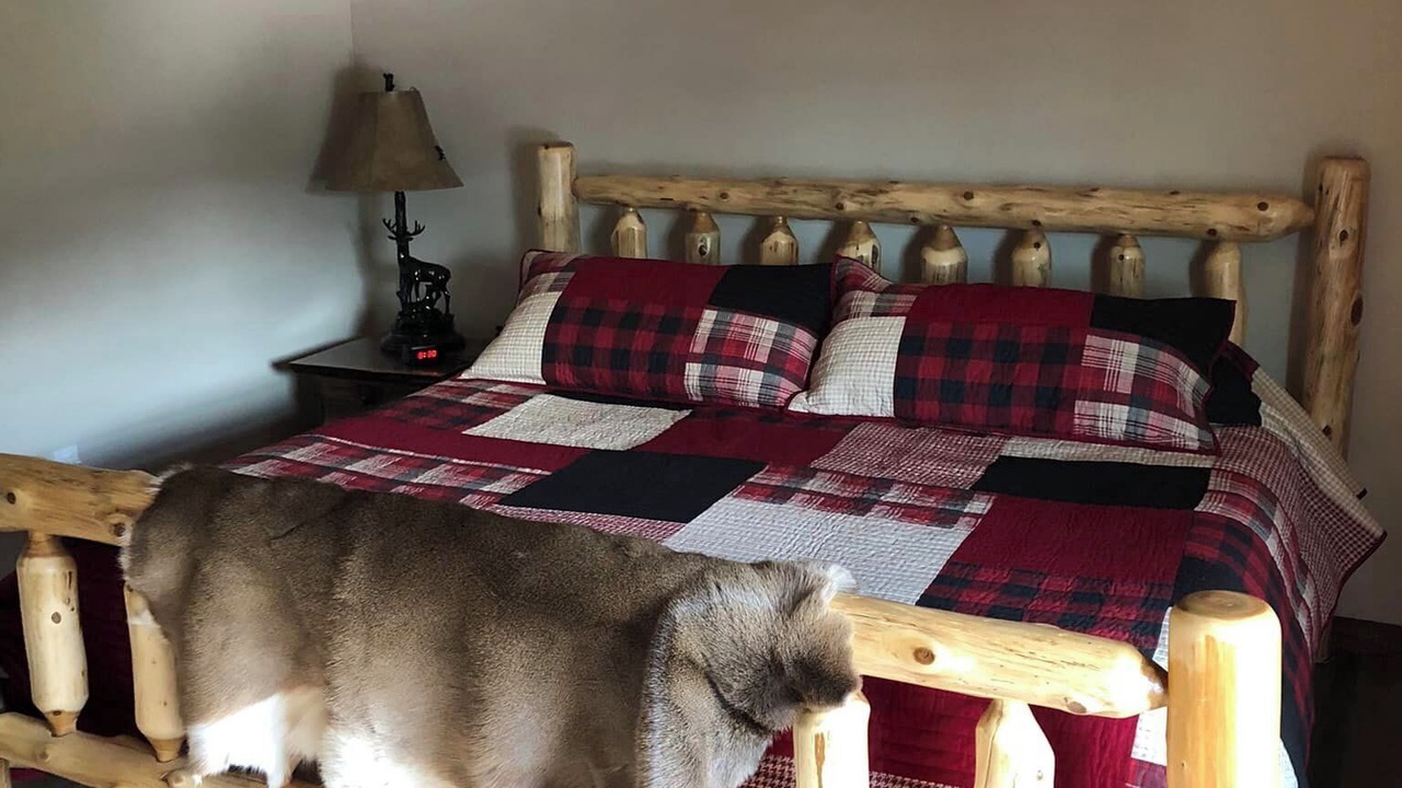 Photo of Bedroom in Saint David