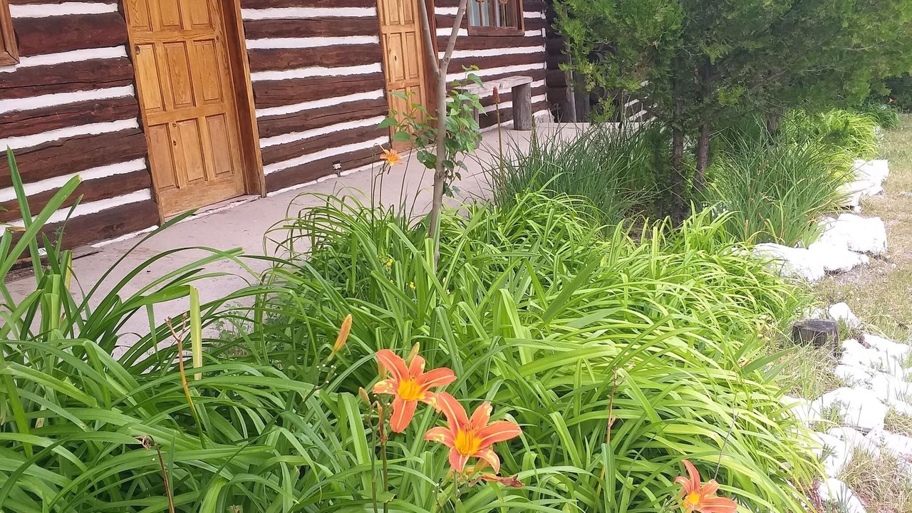 Photo of Outdoor in Creel
