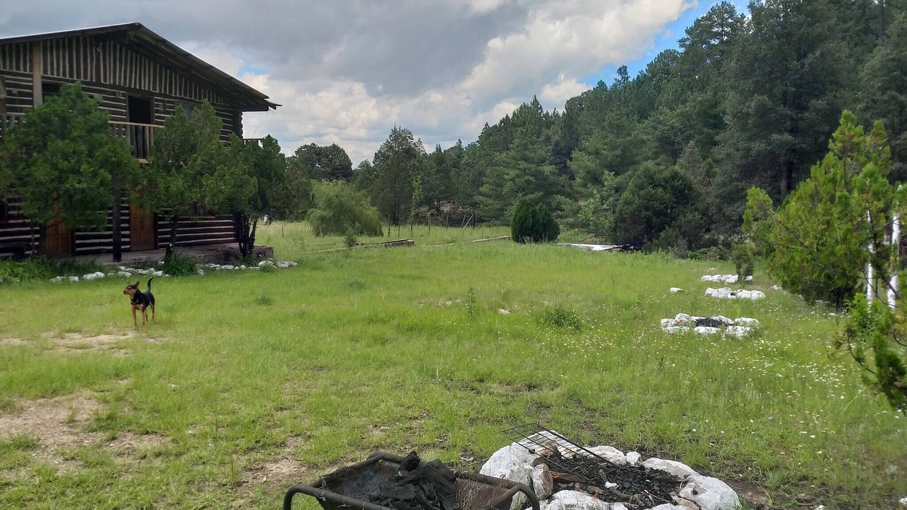Photo of Outdoor in Creel