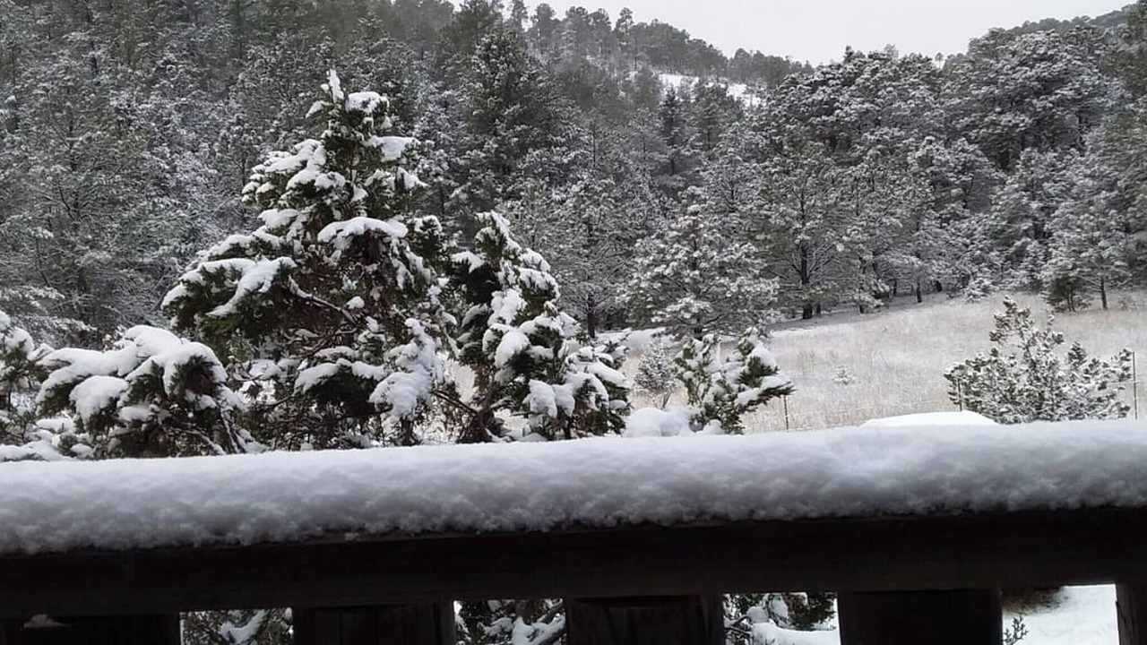 Photo of Outdoor in Creel