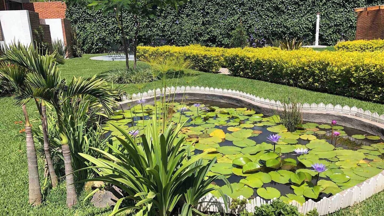 Photo of Outdoor in Santo Domingo