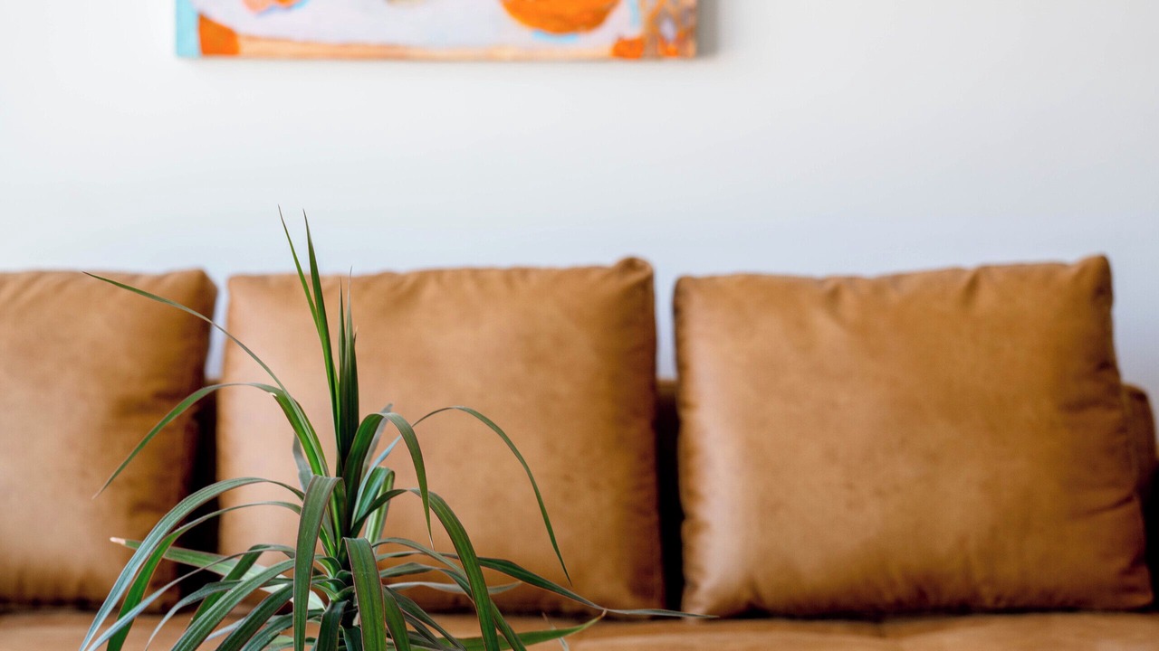 Photo of Livingroom in Guadalajara