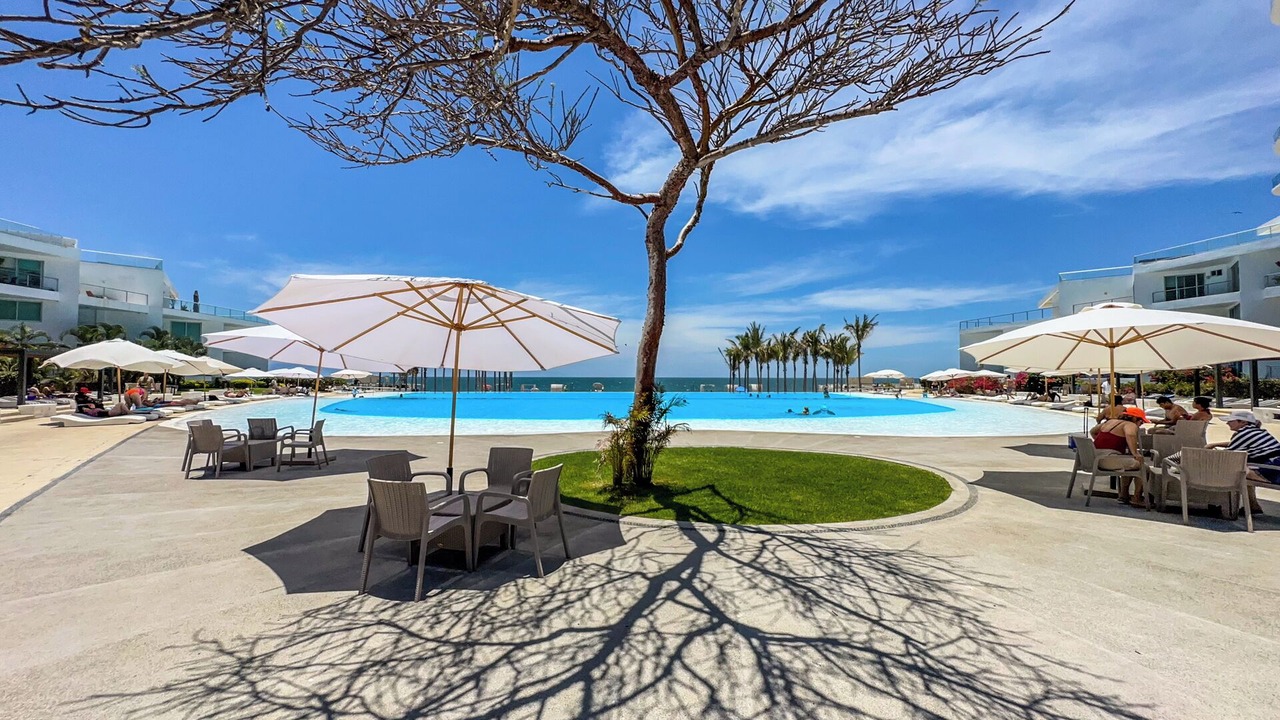 Photo of Outdoor in Flamingos