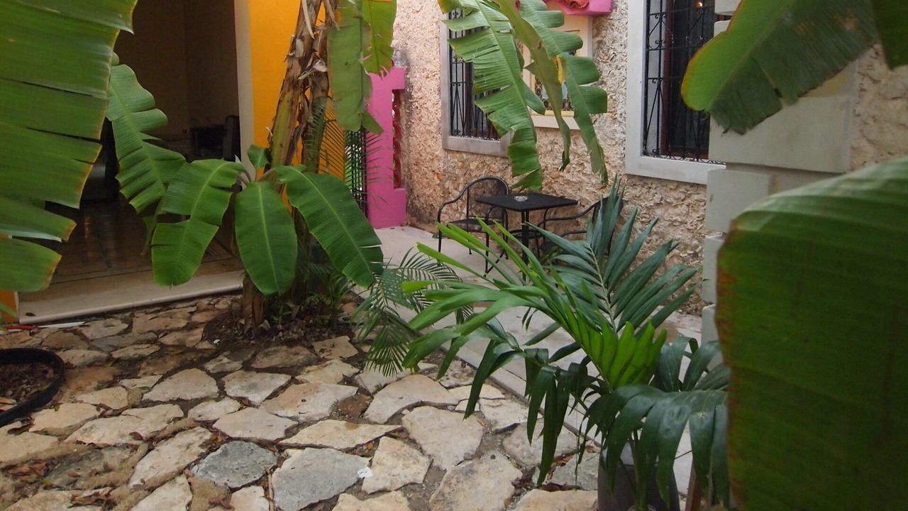 Photo of Patio Balcony in Zona Paseo Montejo