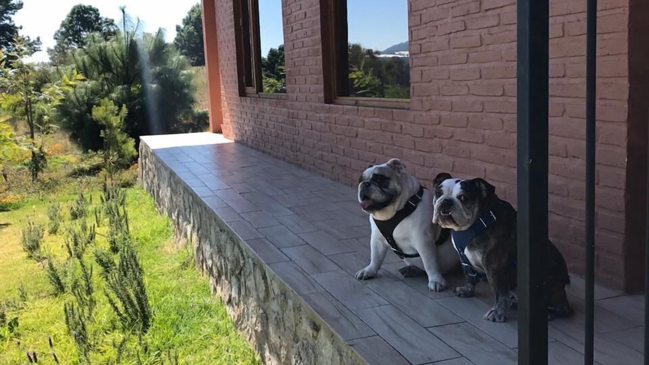 Photo of Outdoor in Tapalpa