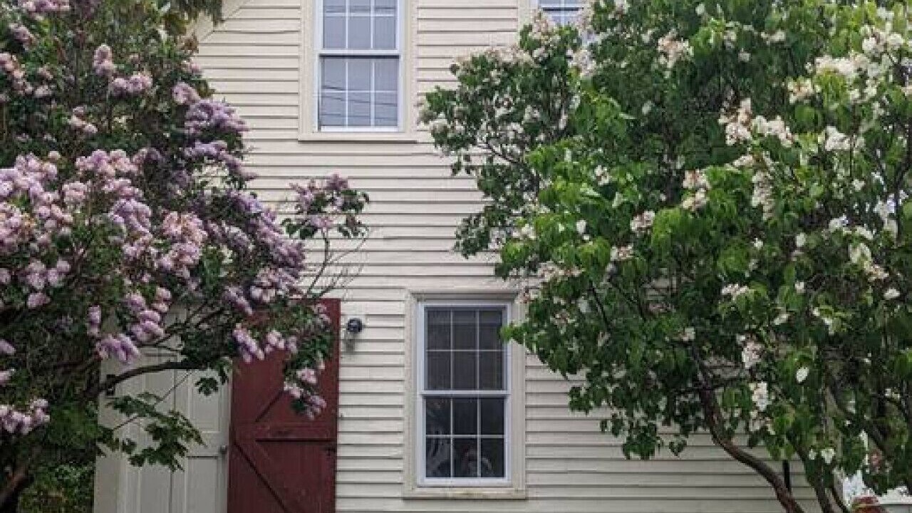 Photo of Others in Vinalhaven