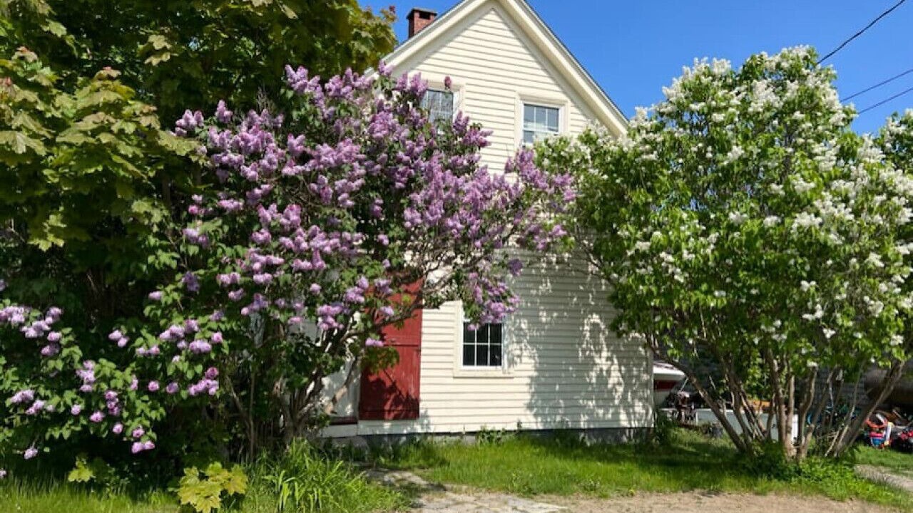 Photo of Others in Vinalhaven