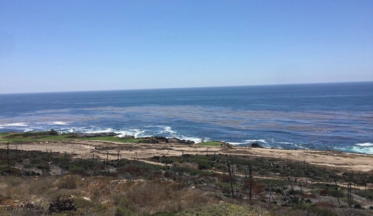 Photo of Others in Ensenada