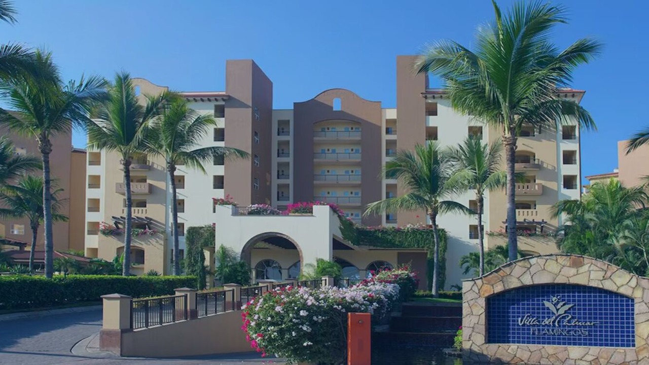 Photo of Outdoor in Flamingos