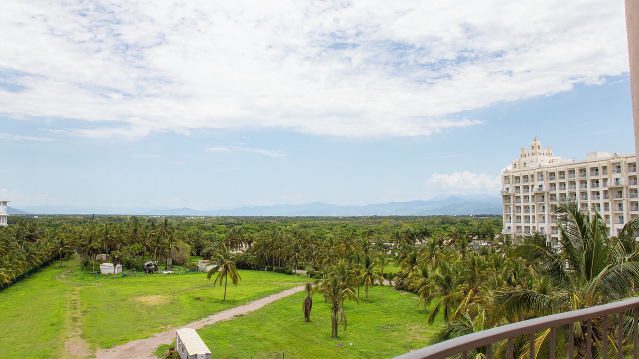 Photo of Outdoor in Flamingos