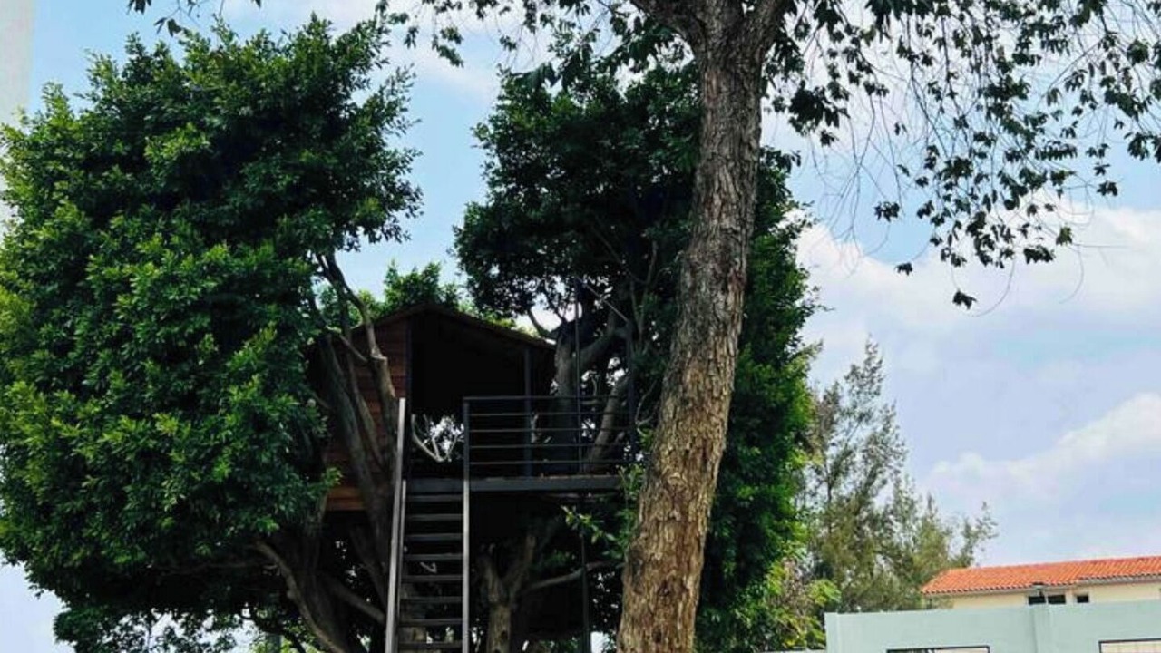 Photo of Outdoor in Cuernavaca