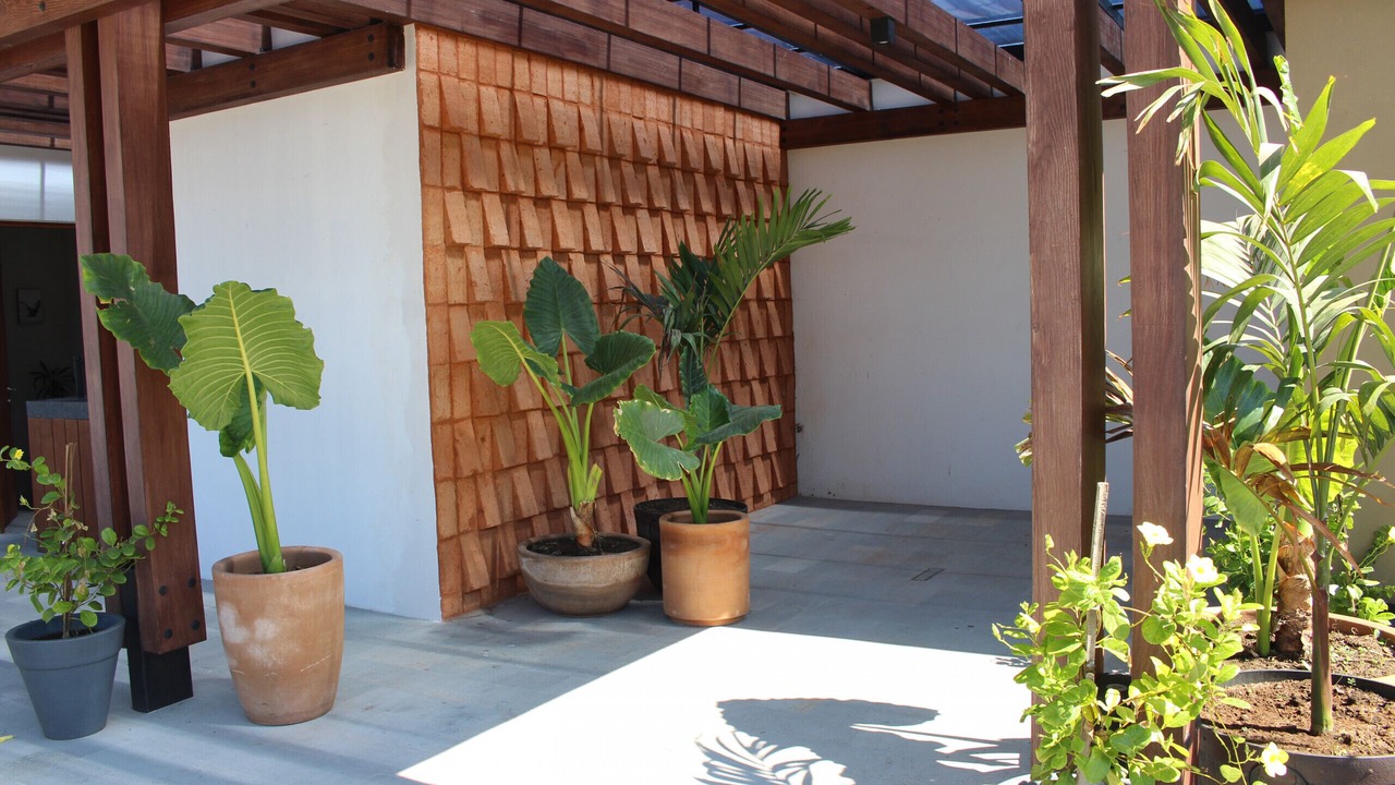 Photo of Others in Lazaro Cardenas