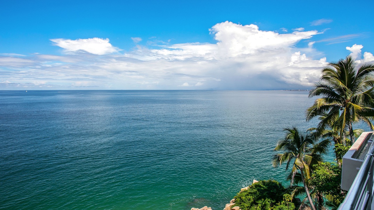 Photo of Others in Mismaloya