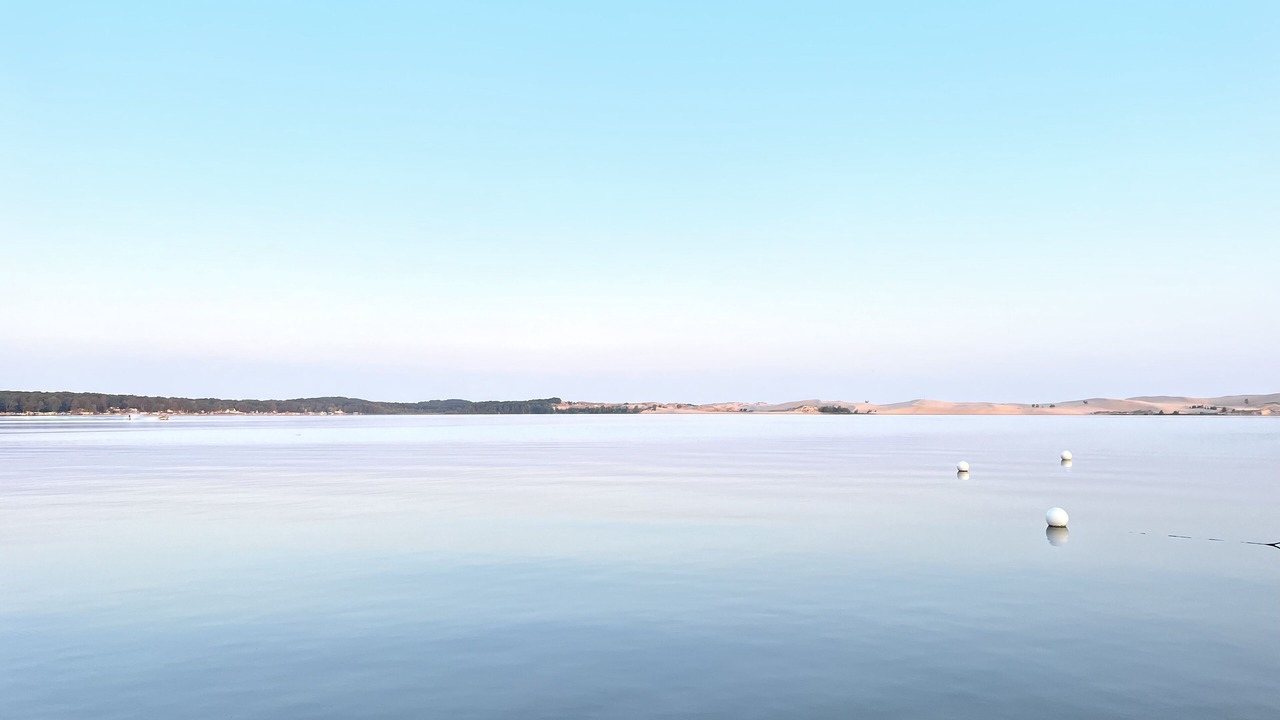 Photo of Others in Silver Lake